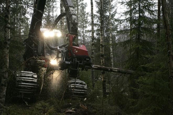 Metsänhakkuut kangertelevat parhaillaan Etelä- ja Keski-Suomessa, koska pehmeä ja märkä maa ei kanna korjuukalustoa. KUVA: Heikki Tyynysniemi / arkisto