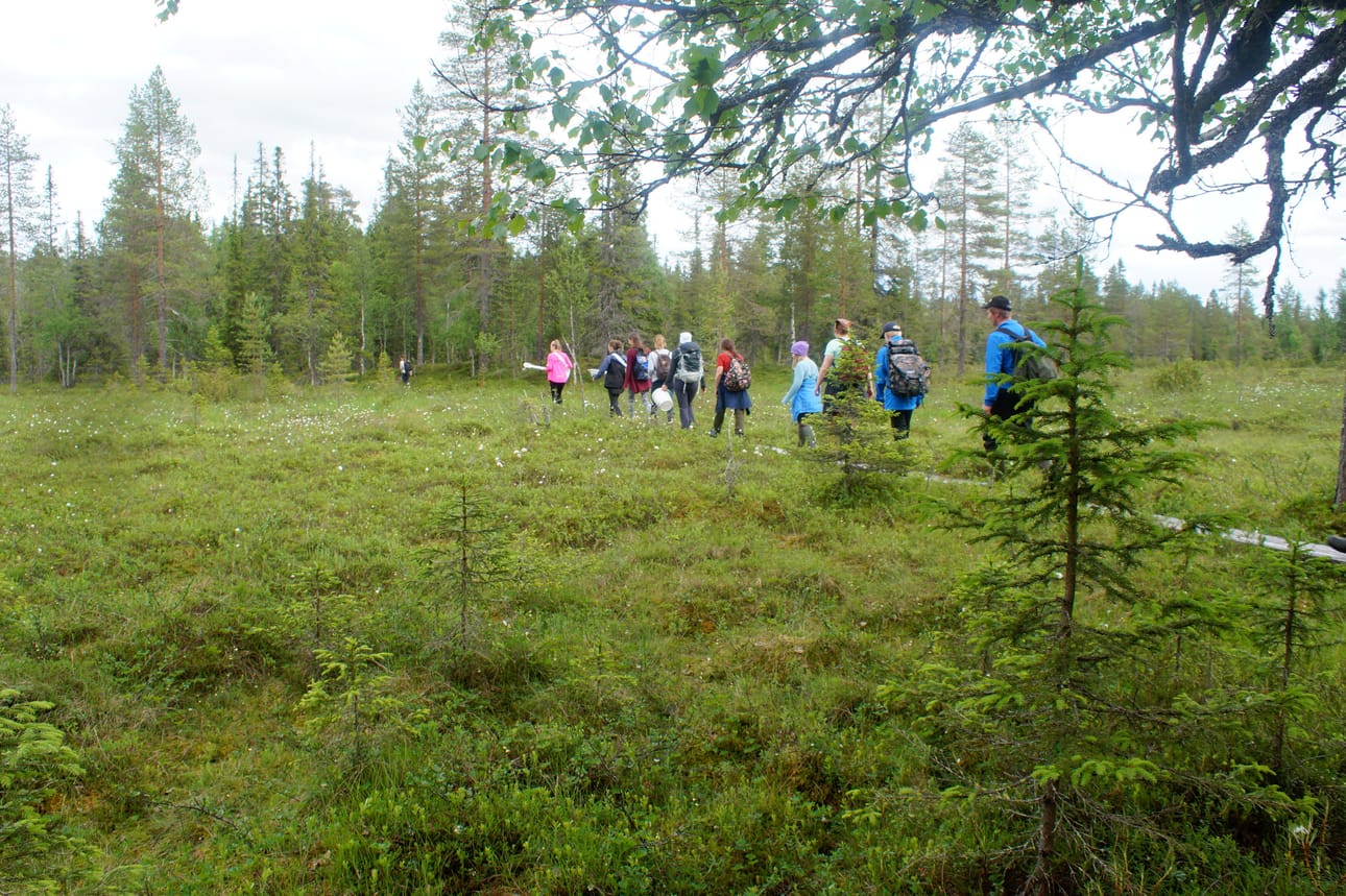 Haussa olevalla hankkeella on tarkoitus lisätä ympärivuotista luontomatkailua pohjoisen kansallispuistoissa ja lisätä siten niiden aluetaloudellista merkitystä.