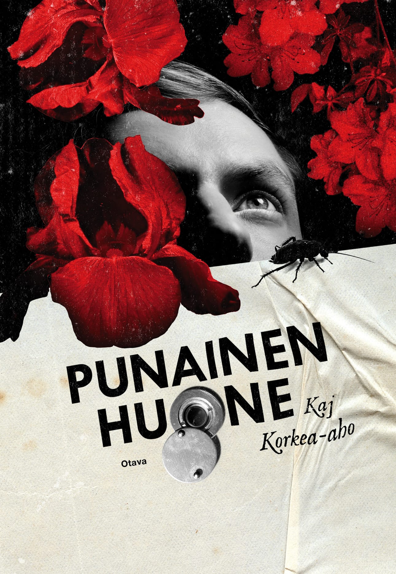 Romaanin suomensi Laura Beck.