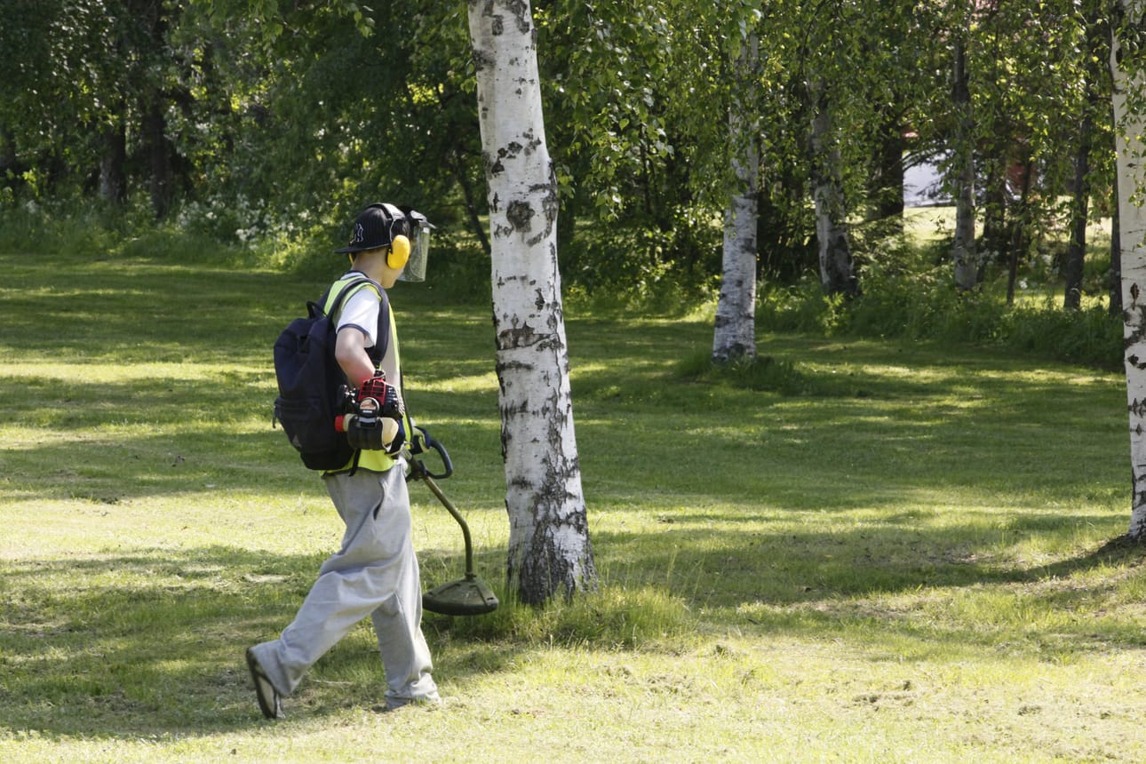 Kuntien ja kaupunkien lisäksi monet yritykset palkkaavat kesätyöntekijöitä. Ensi kesäksi moni yritys on palkkaamassa enemmän väkeä kuin vuotta aiemmin.