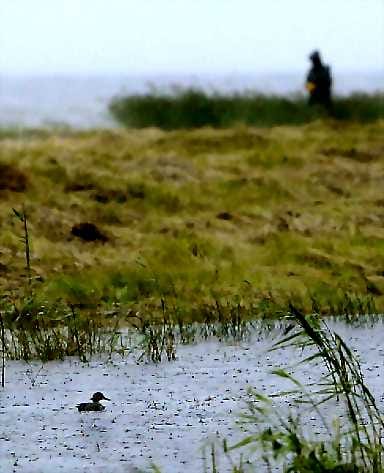 Osa metsästysonnettomuuksista johtuu saalistuksen kiihkosta, osa on pelkkää huonoa tuuria.