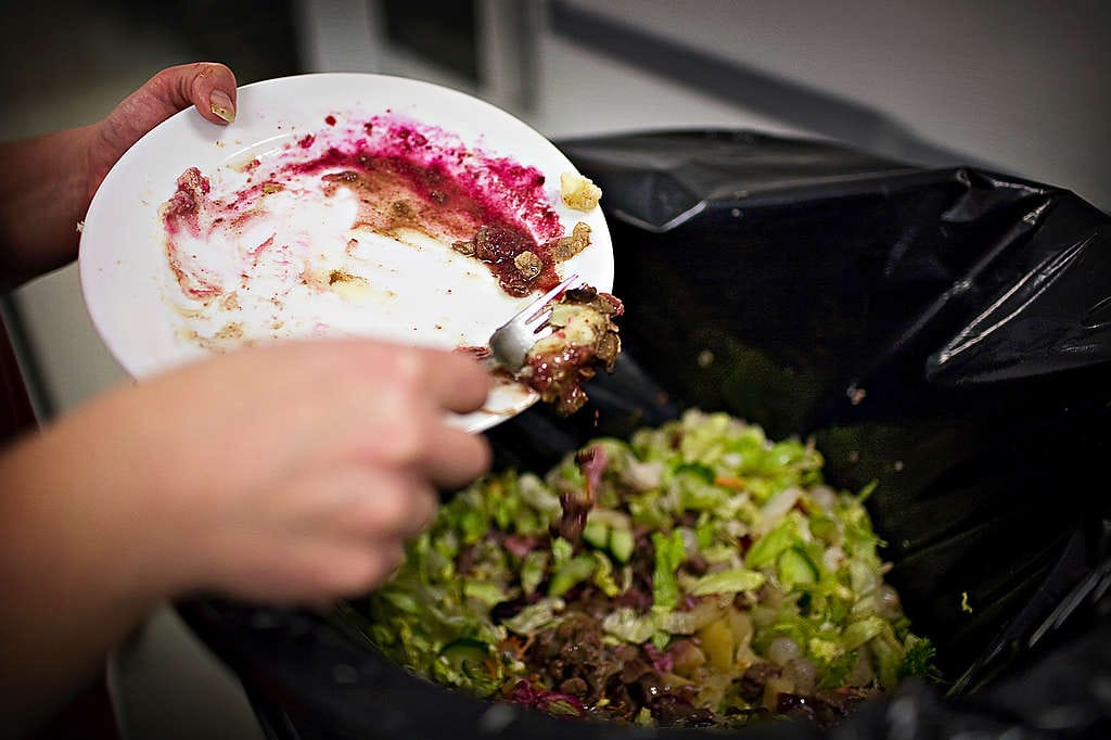 Kodeissa heitetään roskiin 10 prosenttia kaikista kaupasta kannetuista ruokatarvikkeista. Osa on valmista ruokaa ja päätyy roskiin, kun kaikkea ei jakseta syödä, osa pilaantuu säilytyksen aikana.