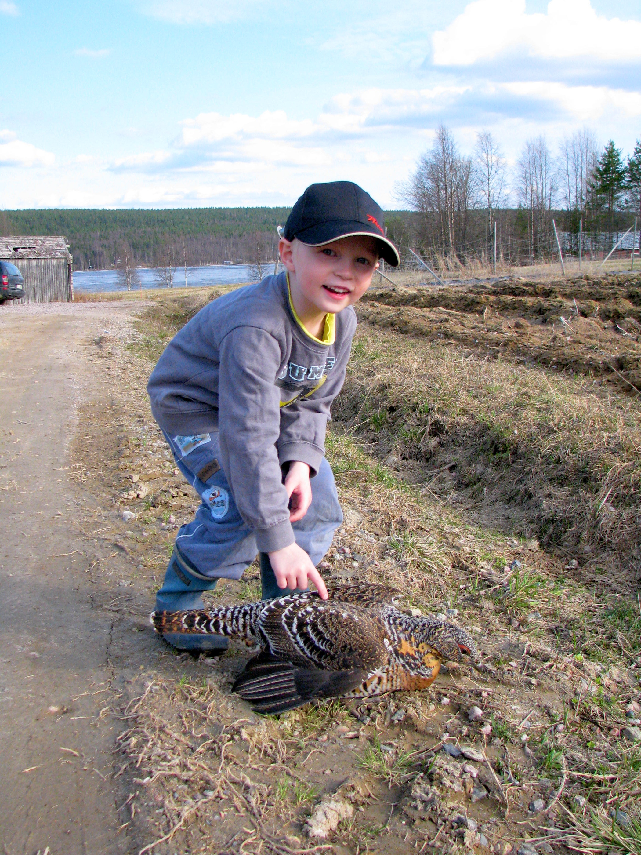 Petri Korvala, 5, rapsuttelee kesävierasta, jota ei saa hätistellä.