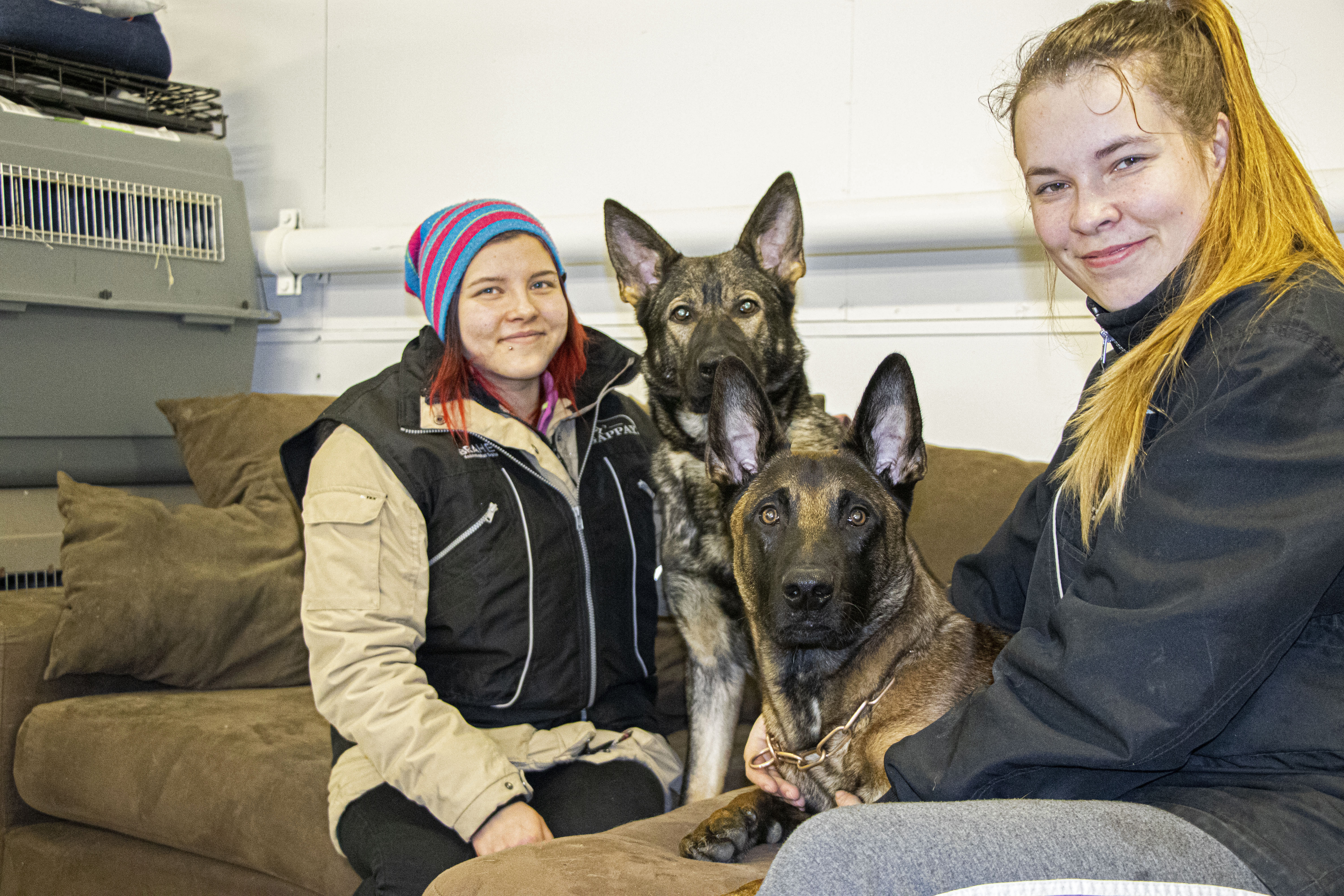 Piia Alatalo ja saksanpaimenkoira Bella sekä Maikki Lukka ja belginapaimenkoira malinois Reino. Bella lähtee Rajavartiolaitokselle ja Reinosta tulee poliisikoira.