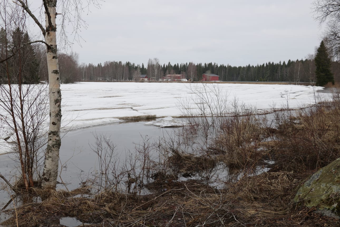 Irvantien varressa joki näyttää rauhalliselta. Iso suvantoalue on vielä jäässä.