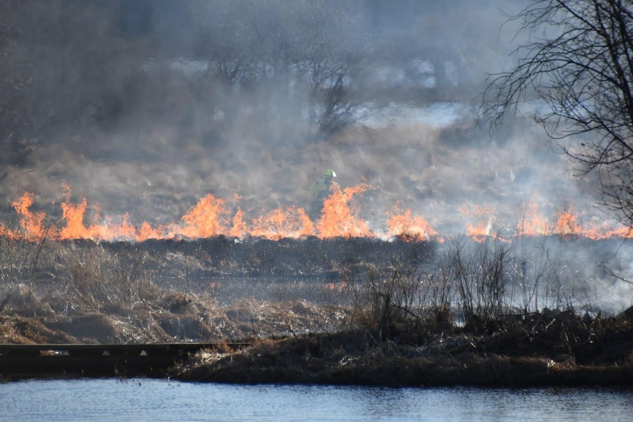 Rovaniemen Koivusaaressa paloi maastoa noin tuhannen neliömetrin alueelta sunnuntaina.