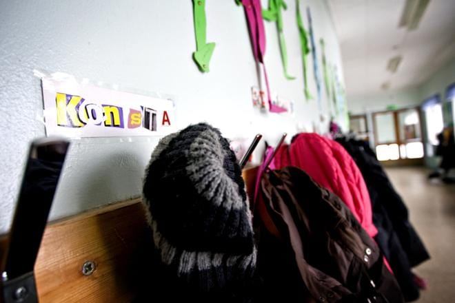 Täi on millin mittainen ihmisen loinen, joka elää hiuspohjassa ja hiuksissa. Arkistokuva
