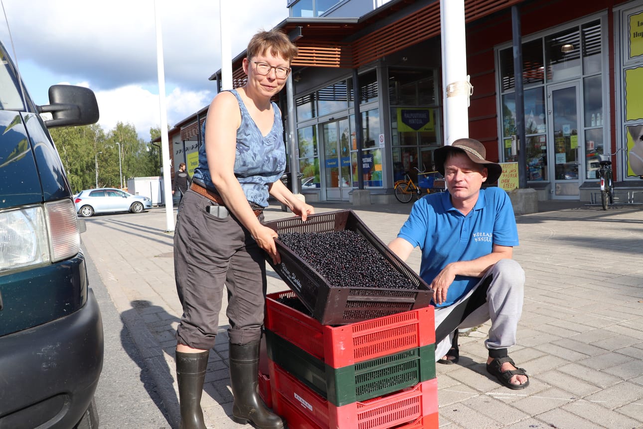 Oululainen Saara Salmela ja sodankyläläinen Pekka Kaukko ostivat mustikoita Pudasjärven S-marketin edustalla.