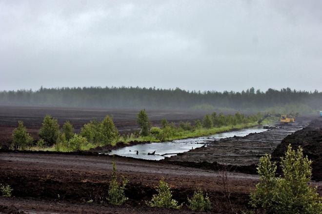 Geologian tutkimuskeskuksen tutkimuksen mukaan järvien pohjamudan turvemäärä ei riipu siitä sijaitseeko järvi turvetuotannon valuma-alueella vai sen ulkopuolella. KUVA: HEIKKI HAKANEN