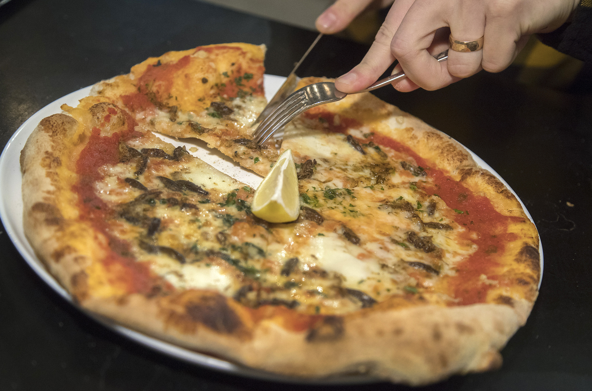 Sirkka pääsi pizzaan Putte's Bar & Pizzassa. Suomessa on hyväksytty elintarvikekäyttöön sirkkojen lisäksi esimerkiksi mehiläistoukka ja jauhomato.