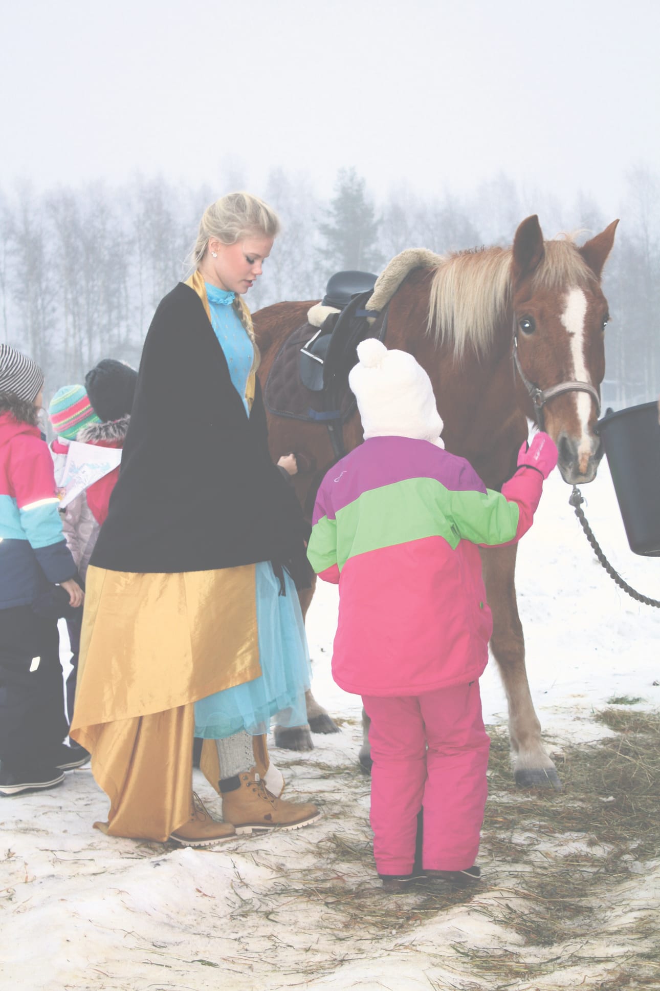 Frozen-talviseikkailun tähtihetki oli monen ekaluokkalisen mielestä hevosten hoito- ja rapsutteluhetki. 8.-luokkalaisista Siiri Lithovius johdatti joukkoa prinsessana ja Alli Ollikainen ohjeisti lapsia hevosten käsittelyssä.