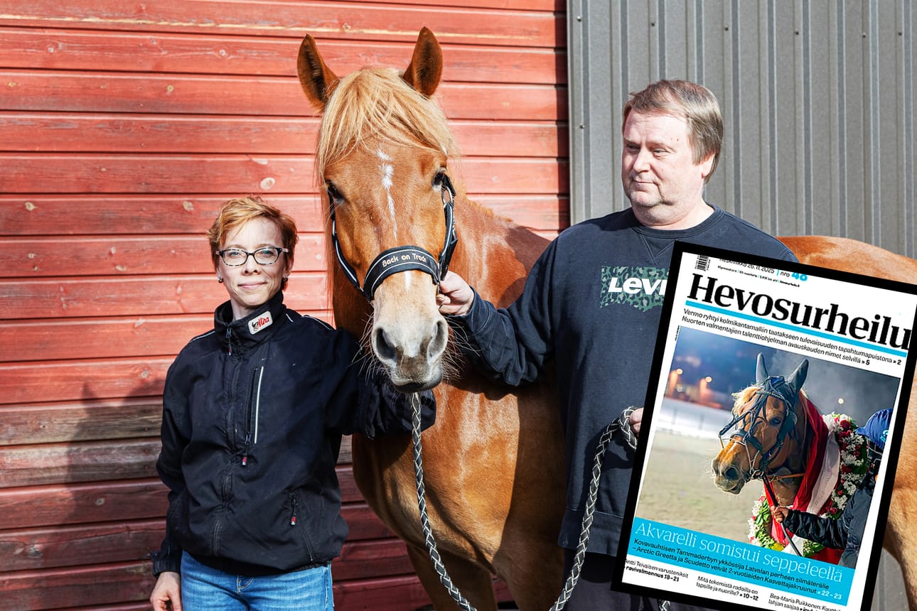 Alajärveläisten Henna ja Markku Latvalan Akvarelli otti Tammaderbyn voiton ja pääsi myös Hevosurheilulehden kansikuvaan 26. marraskuuta. Sekin oli hieno tunnustus työstä hevosen omistajille ja kasvattajille.