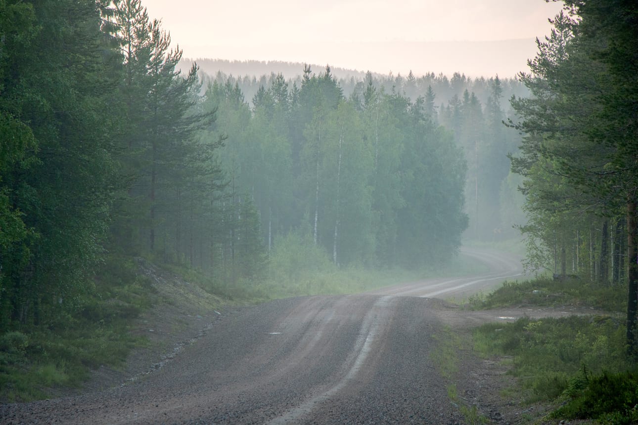 Usvaisella Suolijärventiellä sai totuttuun tapaan kulkea rauhassa, sillä liikennettä ei varsinaisesti ollut ruuhkaksi asti. Lähellä häämötti jo määränpää, eli Kotikummun tila, jossa juhannusjuhlijat, sauna ja herkkupöytä odottivat.