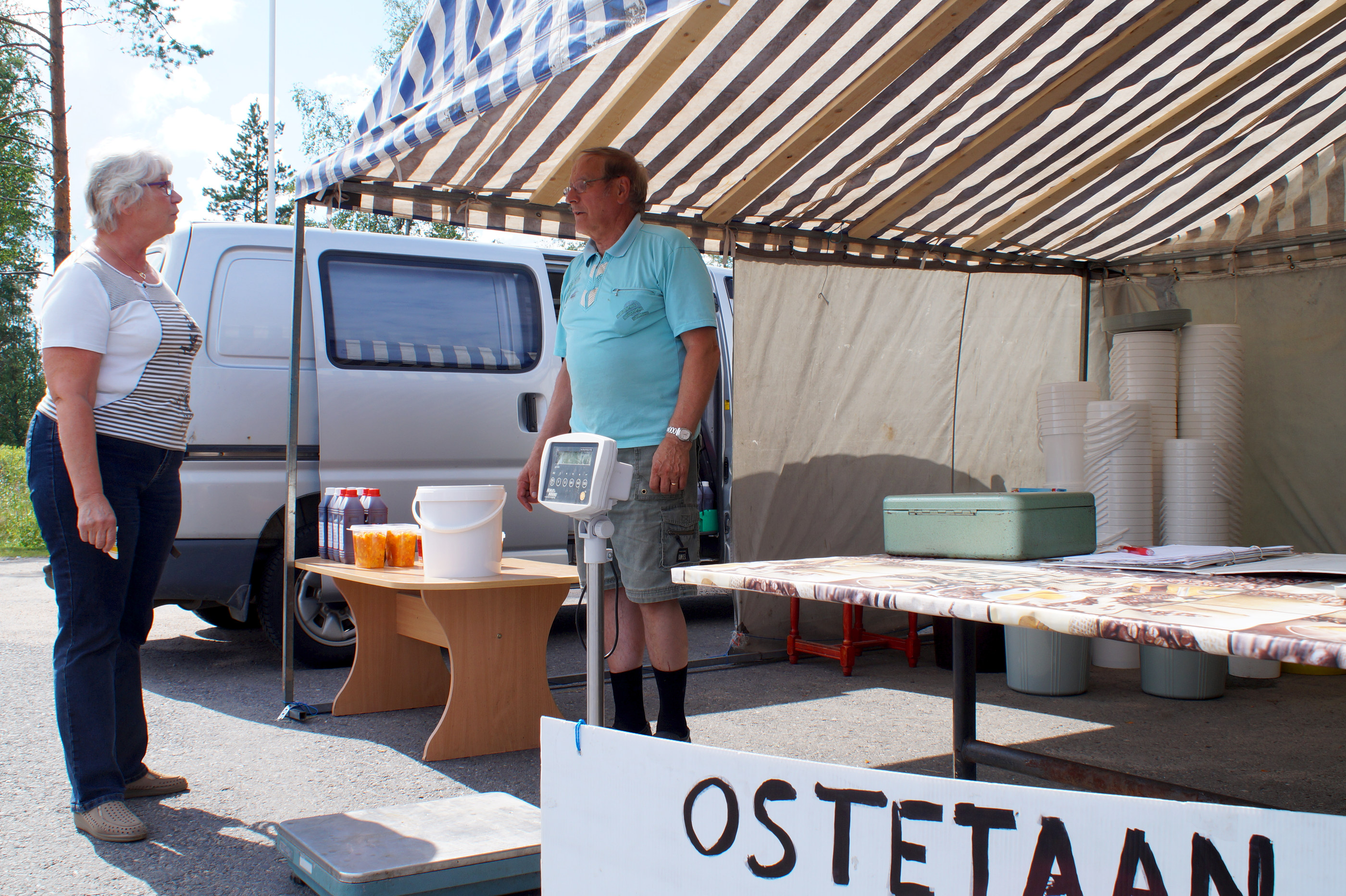 Hillan ostohinnat ovat jo laskeneet, mutta Kainuussa kauppa kävisi korkeampaankin hintaan