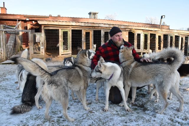 Pesula- ja huskysafariyrittäjä Lauri Sassali on Posion matkailuyhdistyksen uusi puheenjohtaja.