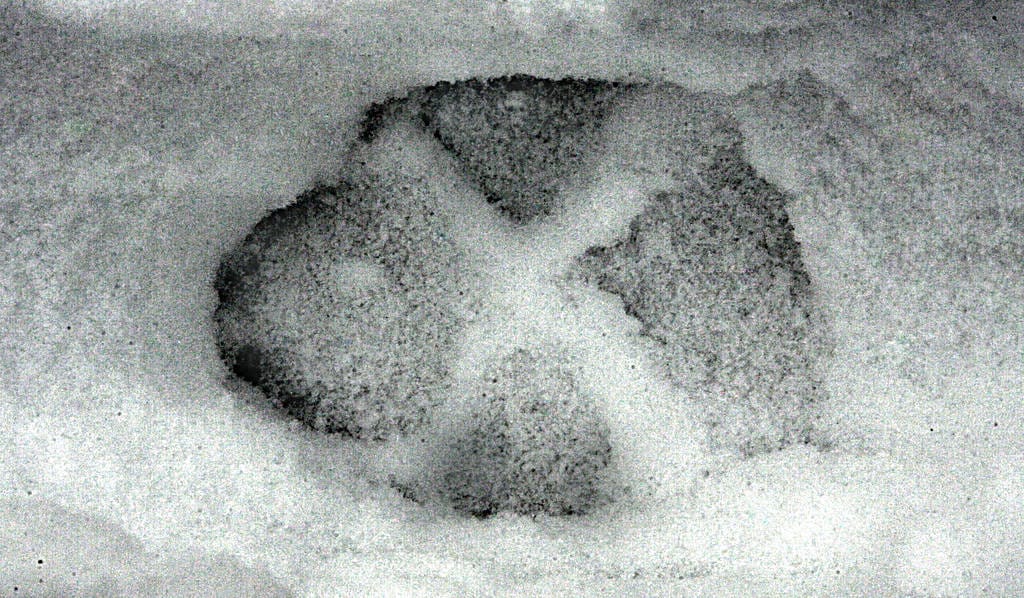 Suden jälkiä tutkittiin Kalimenkylässä ja Ritaharjussa. Arkistokuva.