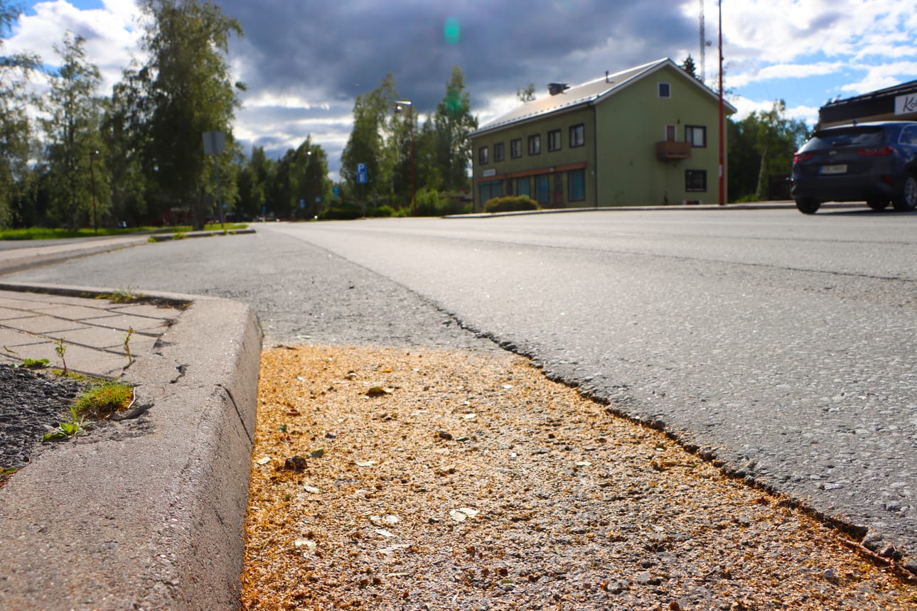 Jurvan Kauppatiellä oli tiistaina 8.8. runsaasti koivun siemeniä.