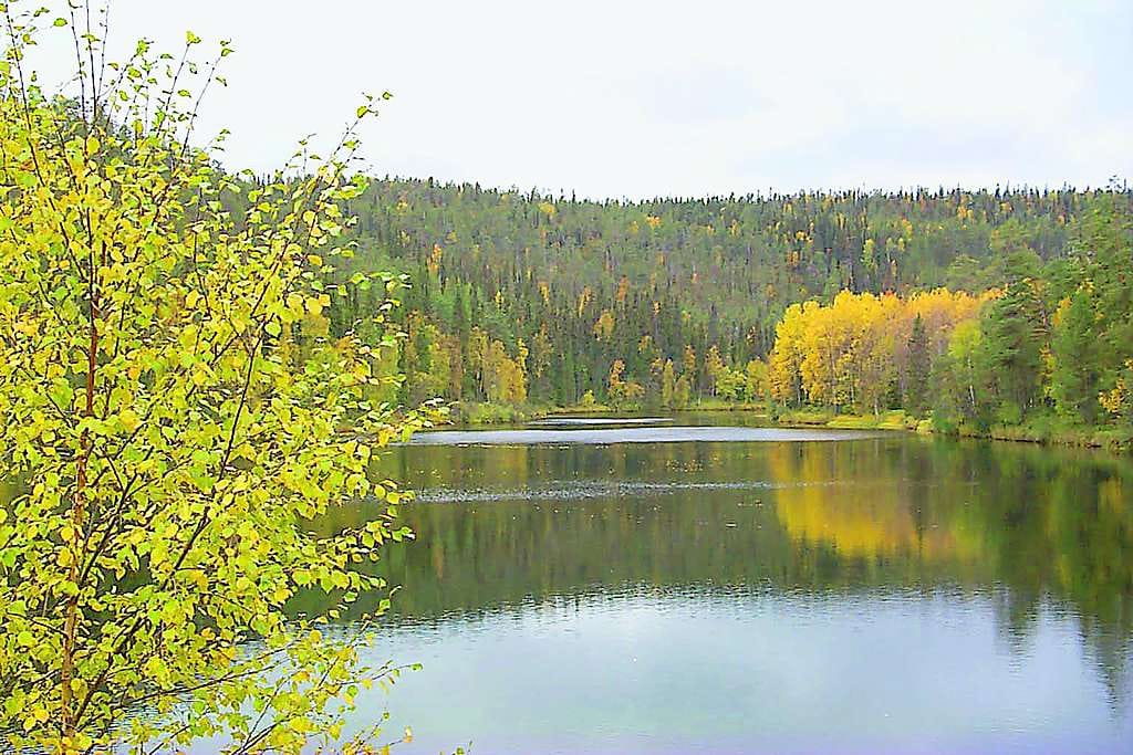 Kelkkailijat pääsevät Oulangan kansallispuistoon.