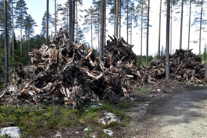 Kantokasat muistuttavat Esa Järvelän rakentaman lentokentän syntyvaiheista.
