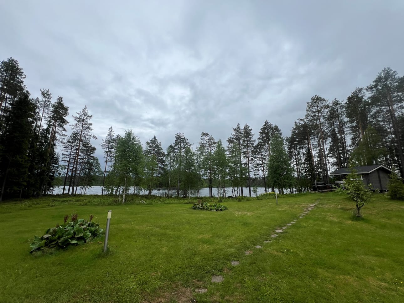 Nikkiset ostivat Metsähallitukselta mökkitontin järven rannasta kuusi vuotta sitten. Nyt sama taho suunnittelee tontin viereen avohakkuuta.