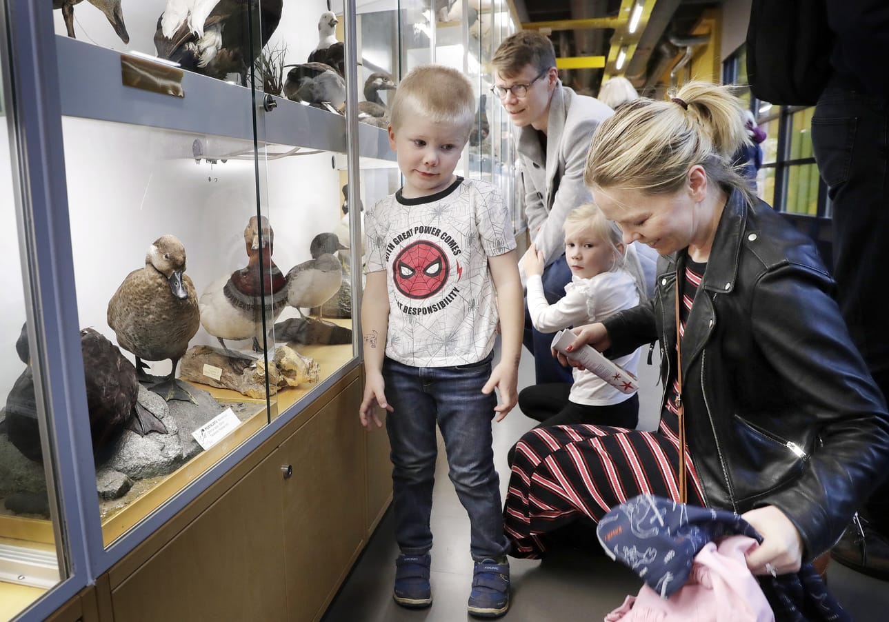 Heidi Kemi, Otto Kormi ja lapset Niklas ja Kerttu Kormi katselemassa täytettyjä lintuja. Tutkijoiden yö on vanhempien mielestä hyvä tapa tehdä tiedettä tutuksi.