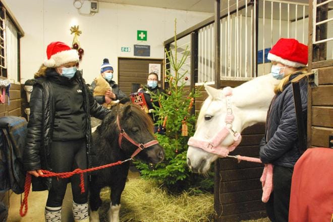 Lilia Lassila toi Zorro-ponin tervehtimään Jenni Helanderin taluttamaa Halla-hevosta. Olli-Pekka Vartiamäki ja Jutta Neste saivat syliinsa tallikissat. KUVAT: EEVA-LIISA KULJU