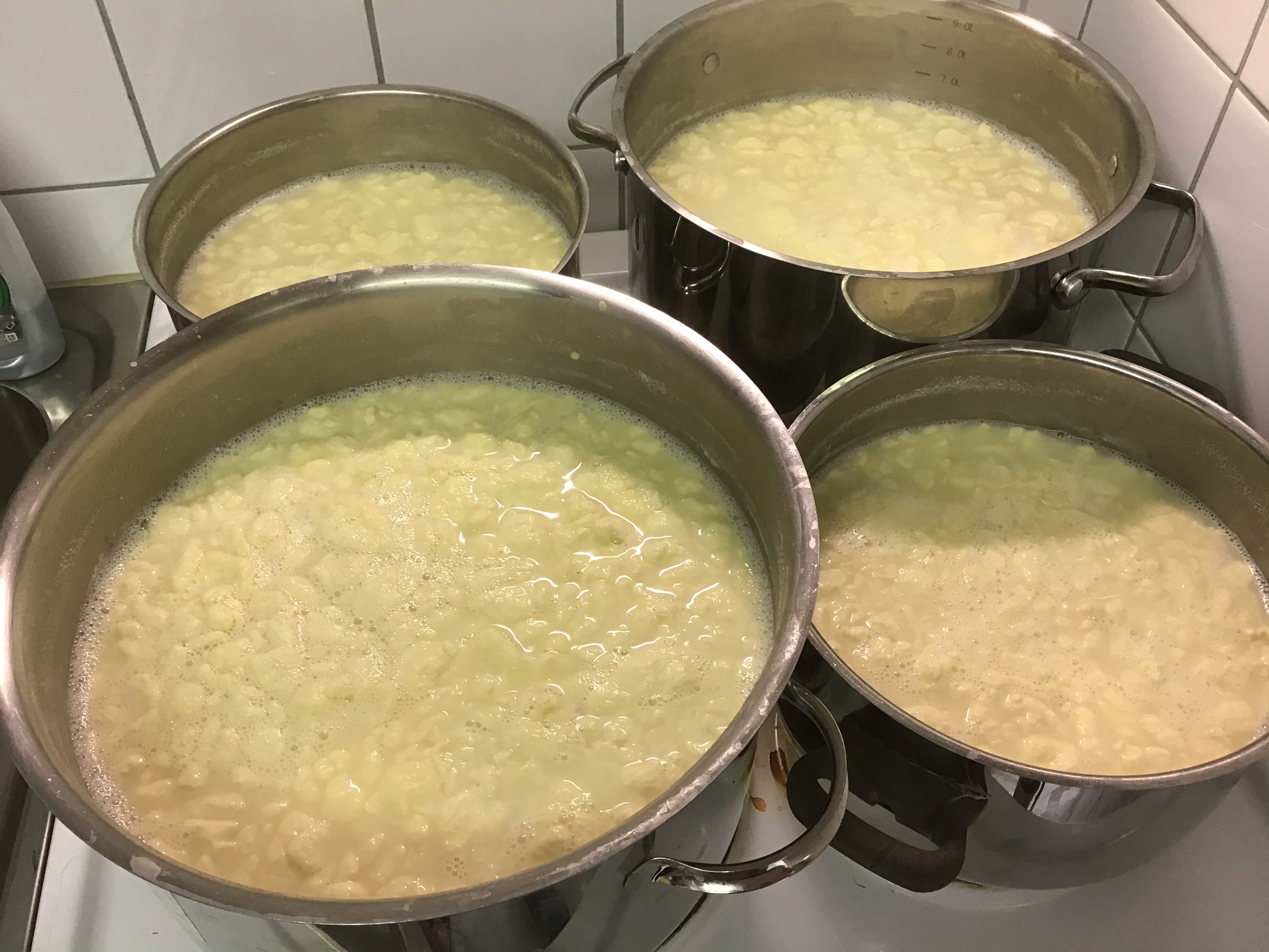 Tällä kertaa keittoa keitettiin noin kuusi tuntia, kun mukaan laskettiin maidon juoksutusvaihe. 