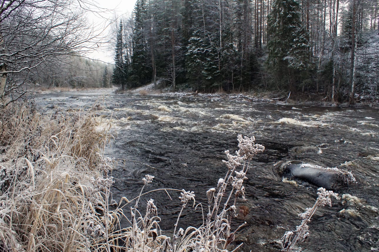 Virtavedetkin alkoivat jäätyä kun pakkanen kiristyi marraskuun puolivälin jälkeen.