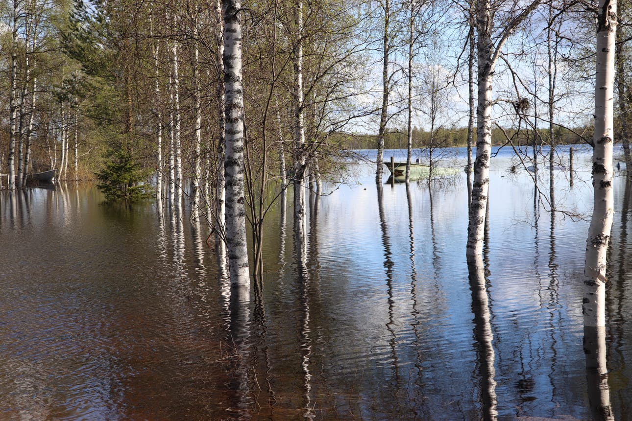 Pudasjärveltä Rimmintieltä.