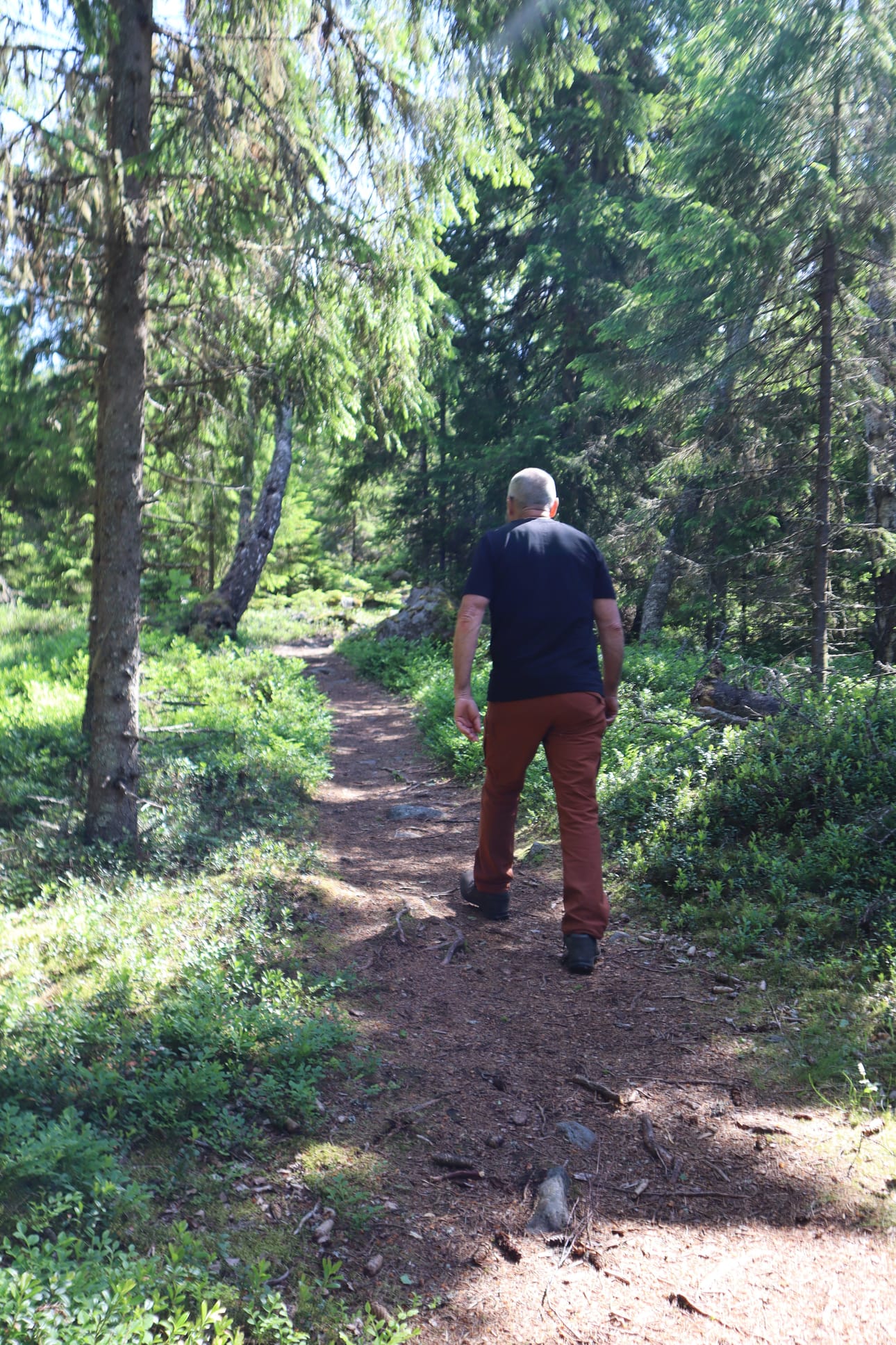 Alkumatkasta Vikarskatin kalasatamasta lähtevä polku on helppokulkuista. Isoja juuria tai pientä kivikkoa ei juurikaan ole.