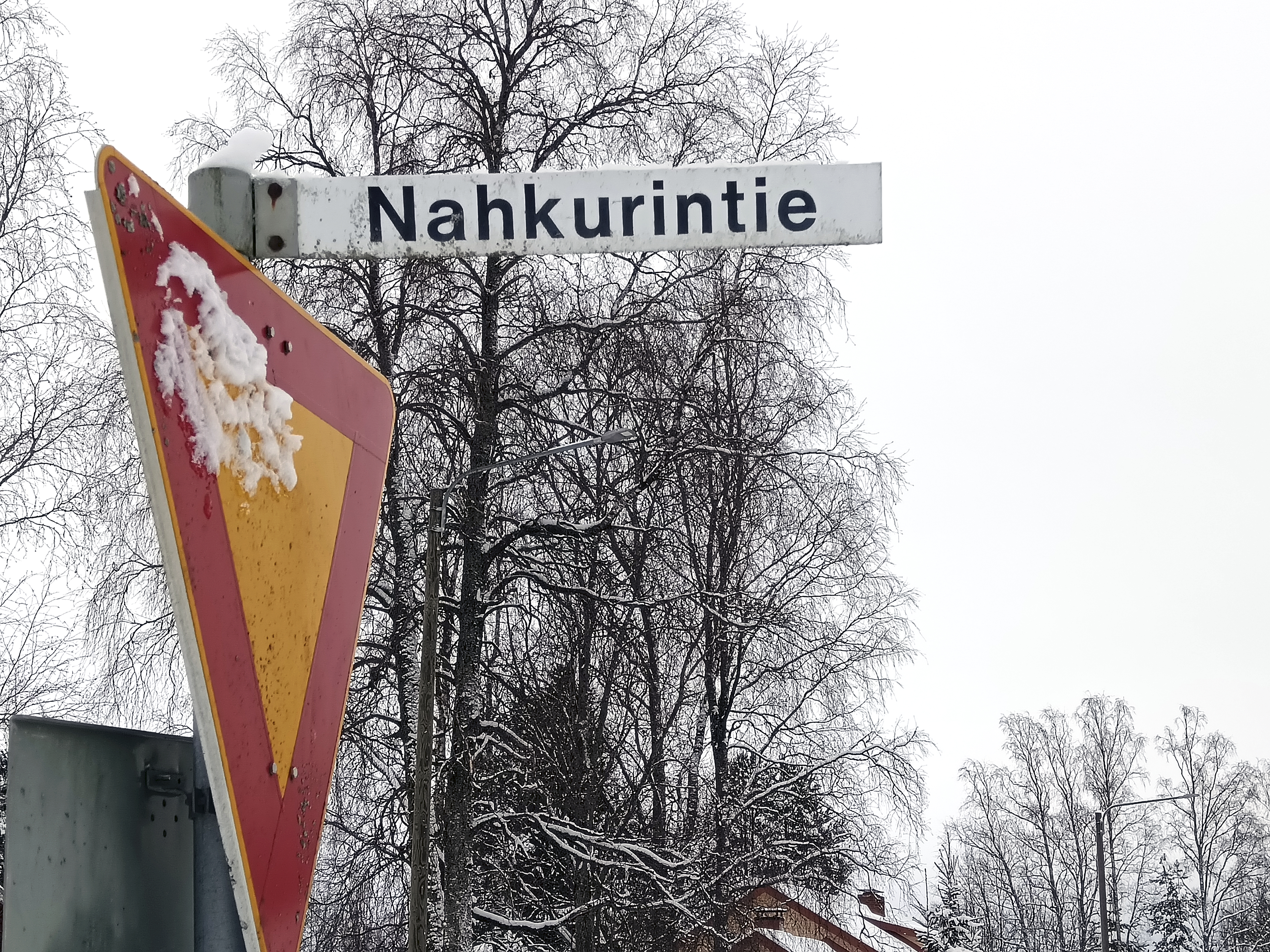 Nahkurin orret ja sammiot: "Haju oli ihan kamala"