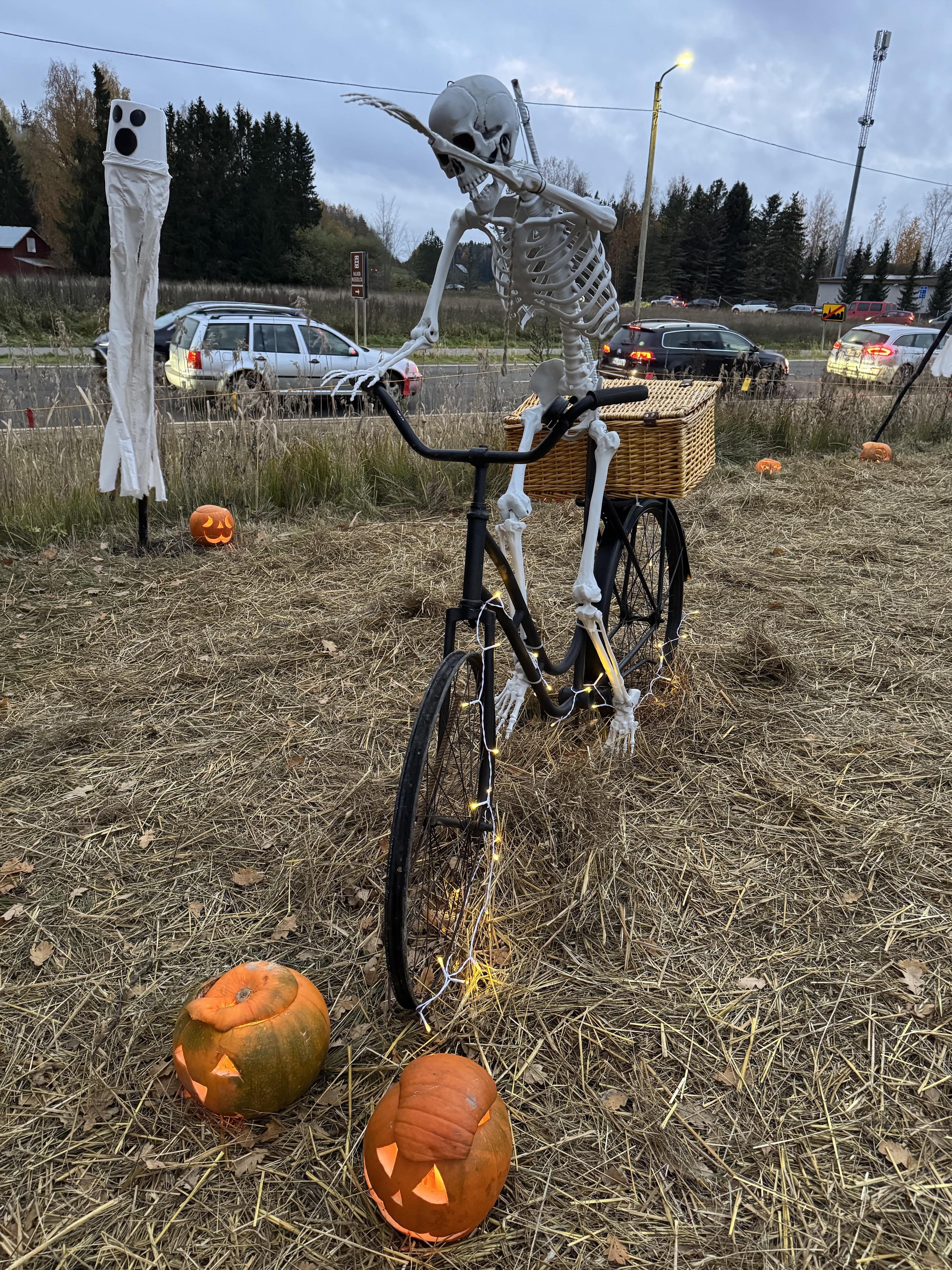 Marraskuun 2024 lukijakuvat