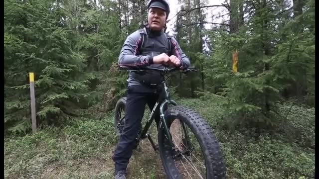 Paksukumipyörät
