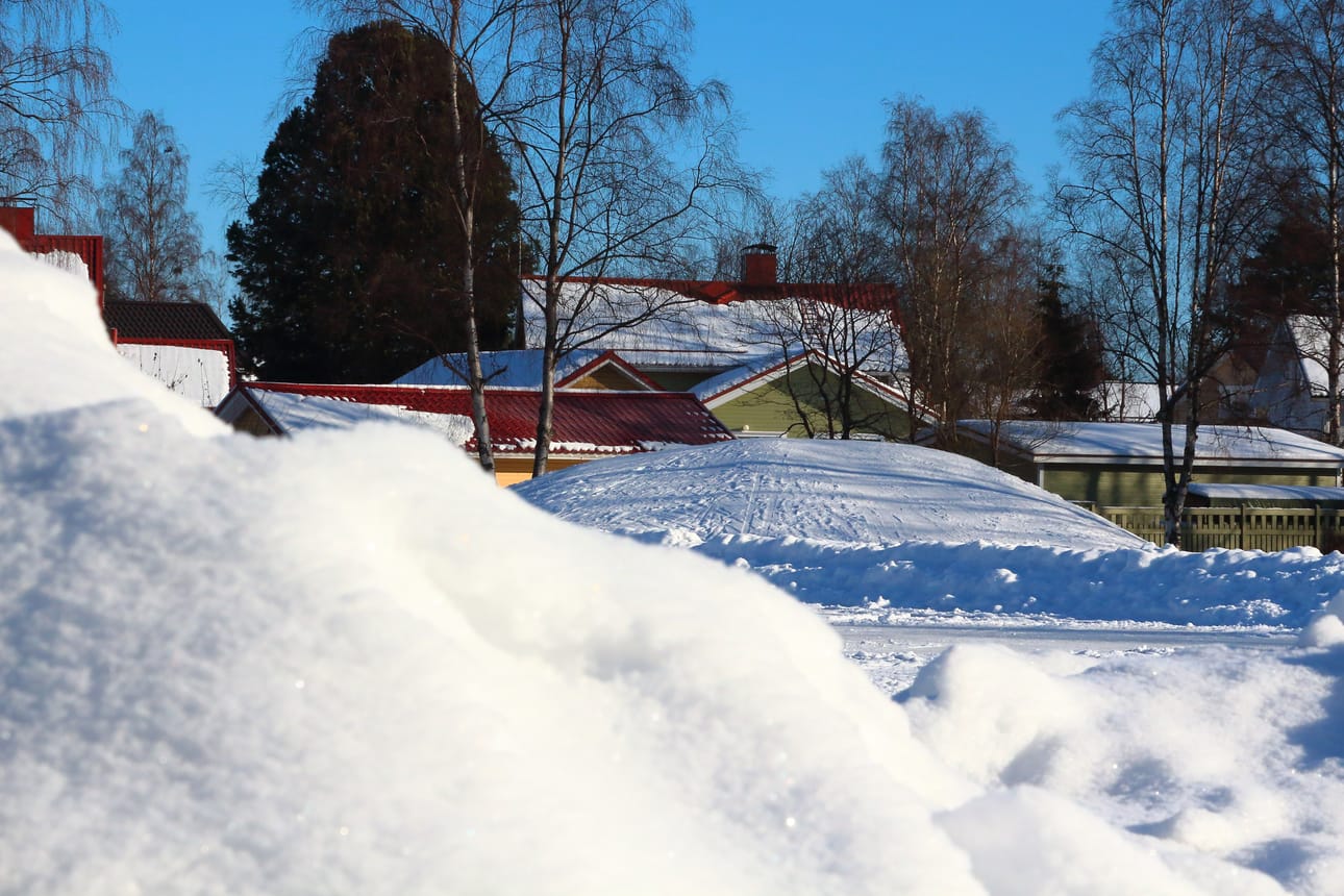 Lybeckerin puistossa sattui perjantaina iltapäivällä ikävä välikohtaus.