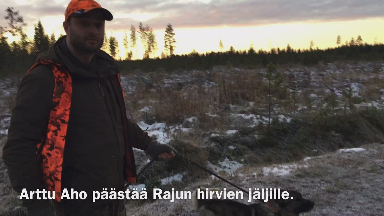 Piippolan Kirkonkylän hirviporukka hirvijahdissa