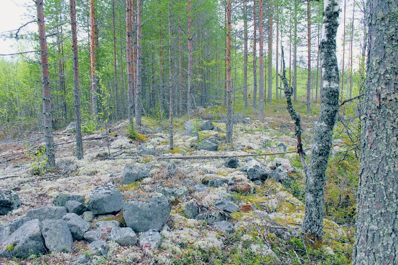 Metelinkankaan jätinkirkko on Tyrnävän kunnan esihistoriallista kulttuuriperintöä. TYYLI-hankkeen kandiharjoittelun aineistokokoelma.