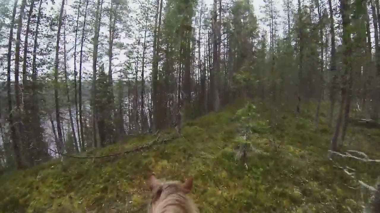 Ratsastusvaellus Ounasjoen varrella