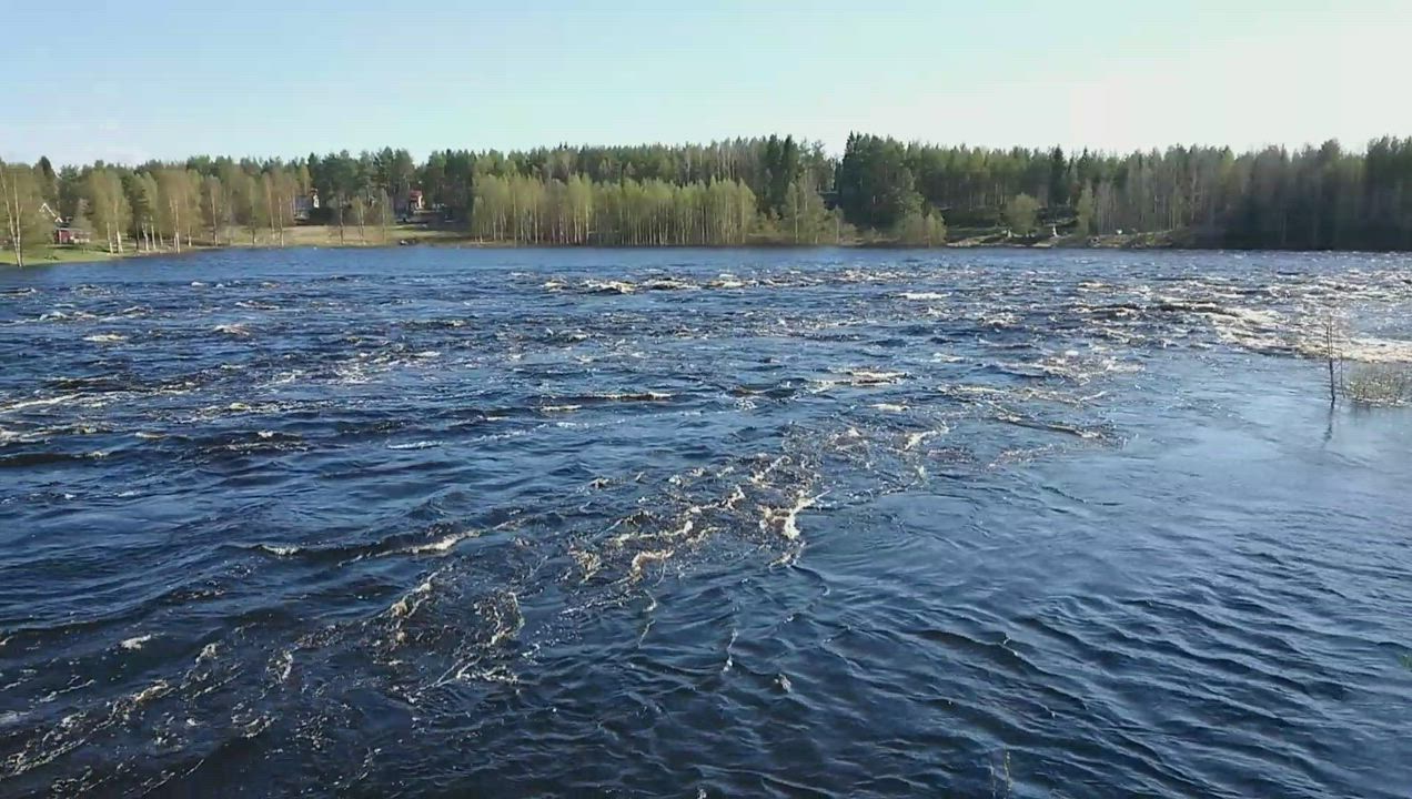 Iijoen tulva kohta korkeimmillaan – näin virtaa tulviva Iijoki Kipinässä, katso video