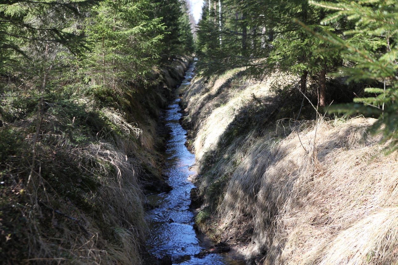Aluehallintovirasto on myöntänyt kaivosyhtiölle luvan johtaa ylijäämävesiä Tuoreenmaanojaan.
