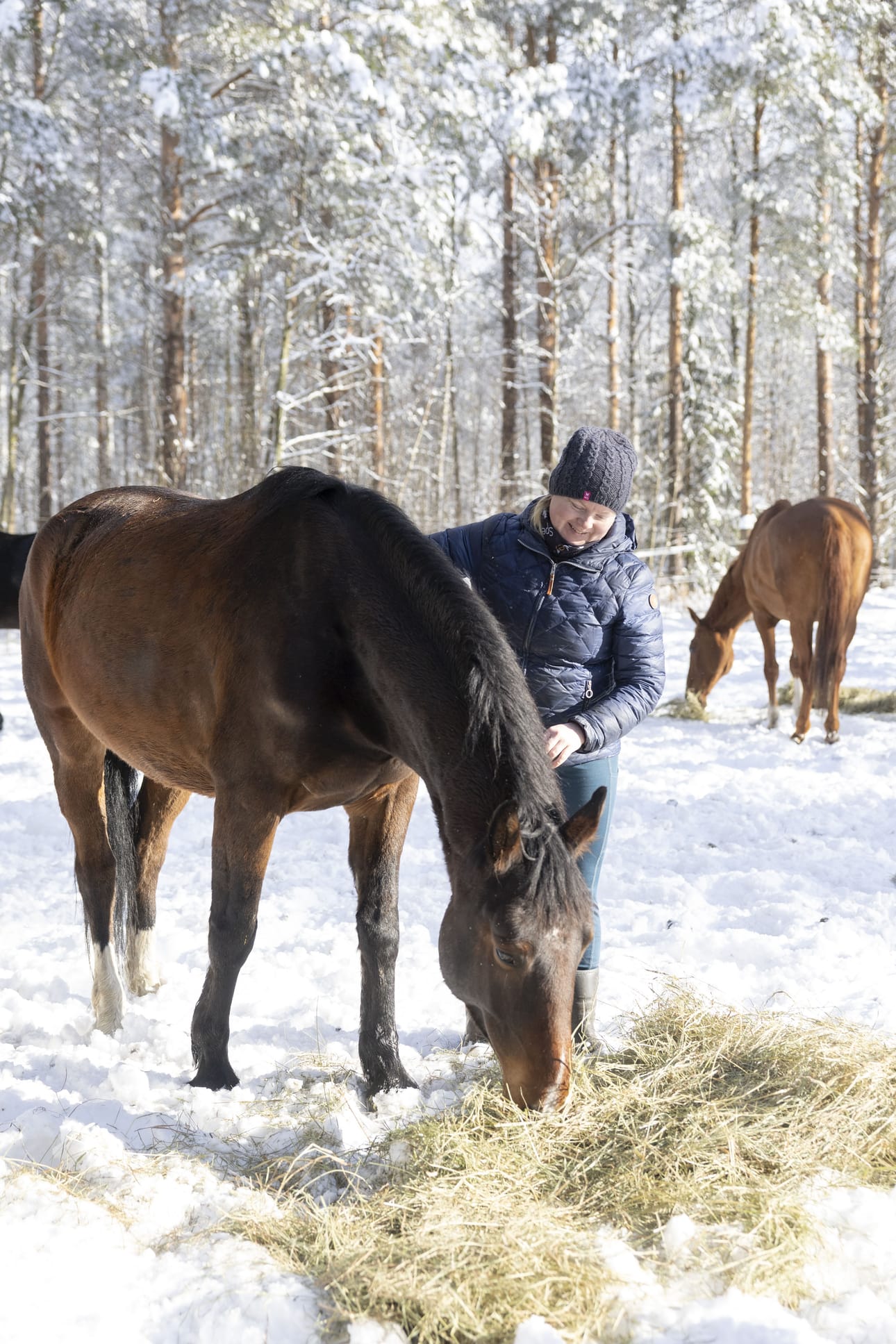 Kati Kemppaisen 150 senttimetrinen Santtu-poni on aika matala mutta roteva. Siksi se sopii monen kokoisille ratsastajille. Santun selkään pääsee, jos ratsastaja on alle 170-senttinen ja alle 70-kiloinen.