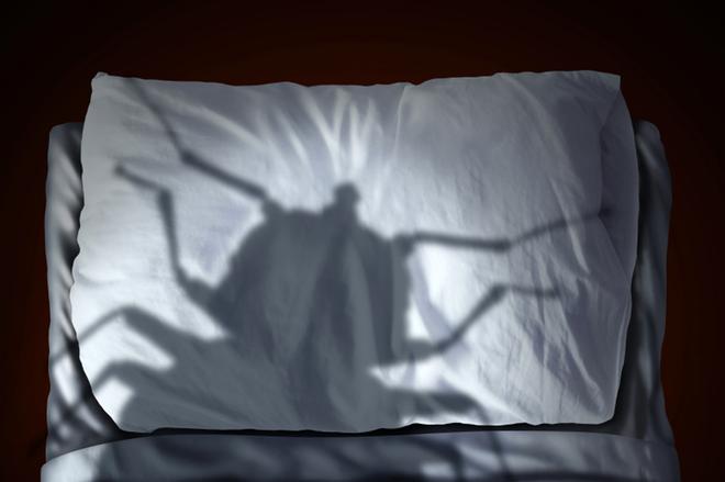 Päivi Sappinen näkee hämähäkkien vyöryvän ja tumman uhkaavan hahmon lähestyvän eikä pysty liikauttamaan sormeakaan – Unessa halvaantunut velloo kauhun keskellä