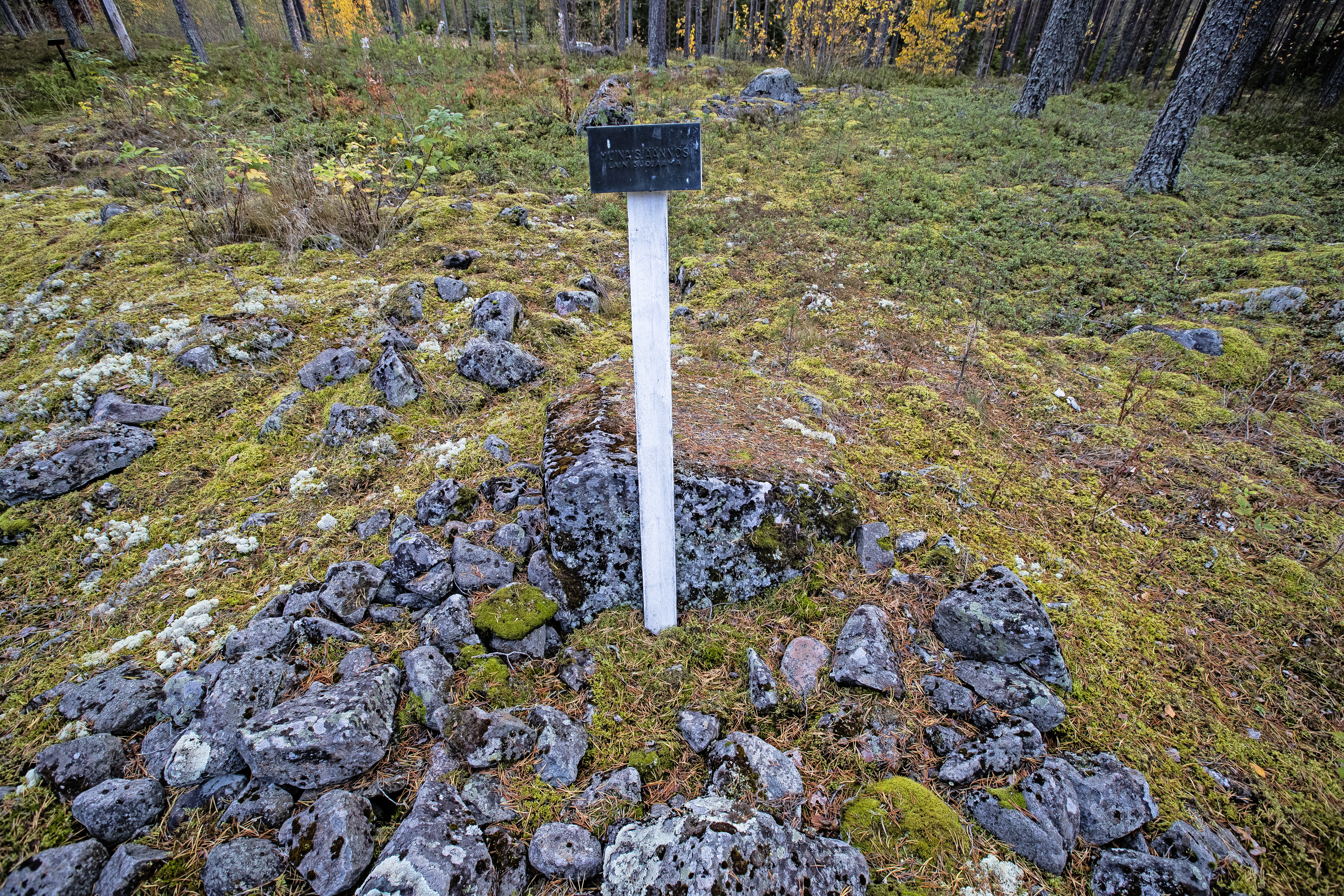 Tervakankaan rautakautinen kalmisto eli hautausmaa, ollut käytössä 100 jälkeen Kristuksen -500 jkr, muutaman sadan vuoden ajan. 