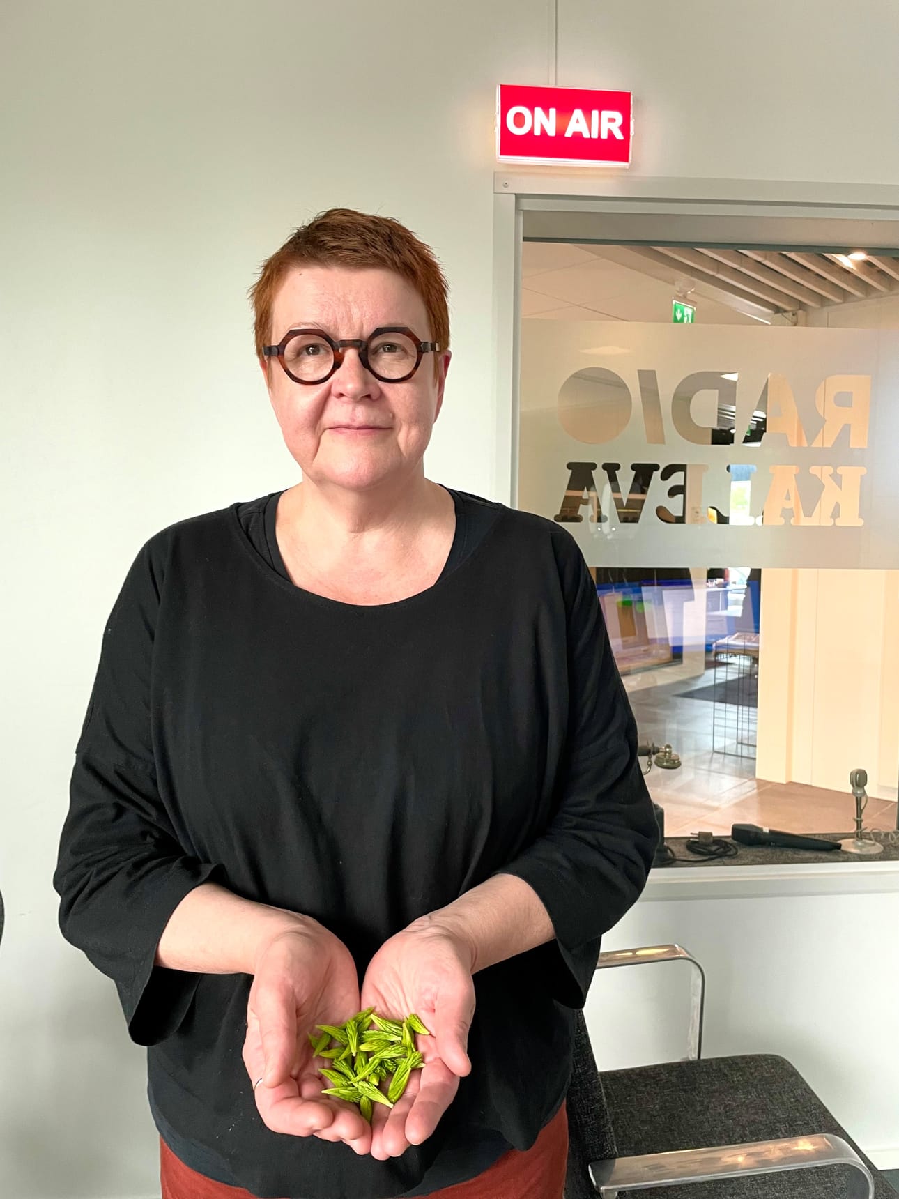 Villiyrttispesialisti Päivi Kaukua tarjoilee alkukesäisiä kuusenkerkkiä
