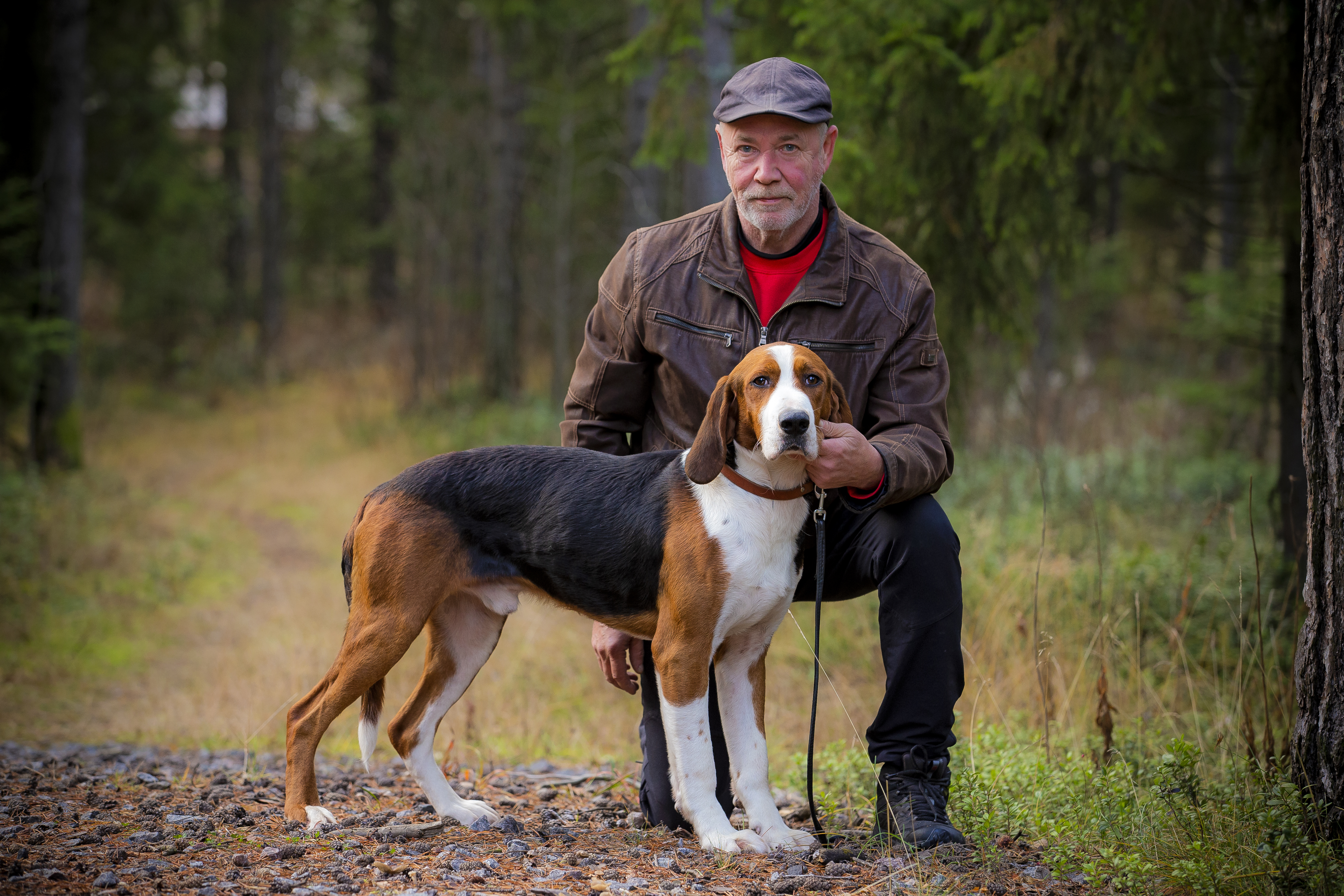 Onko Pekka Kortessalon Martilla  Suomen parhaat ajokoiraominaisuudet, se nähdään SM-kilpailuissa.
