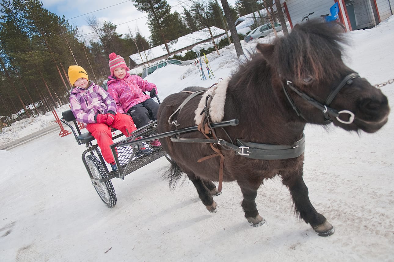 Milka Hänninen ja Maiju Korva menevät syksyllä esikouluun Nilolle. Päiväkotilaiset istuivat Venni-ponin kärryihin päiväkoti Kirsikan avoimien ovien päivänä.