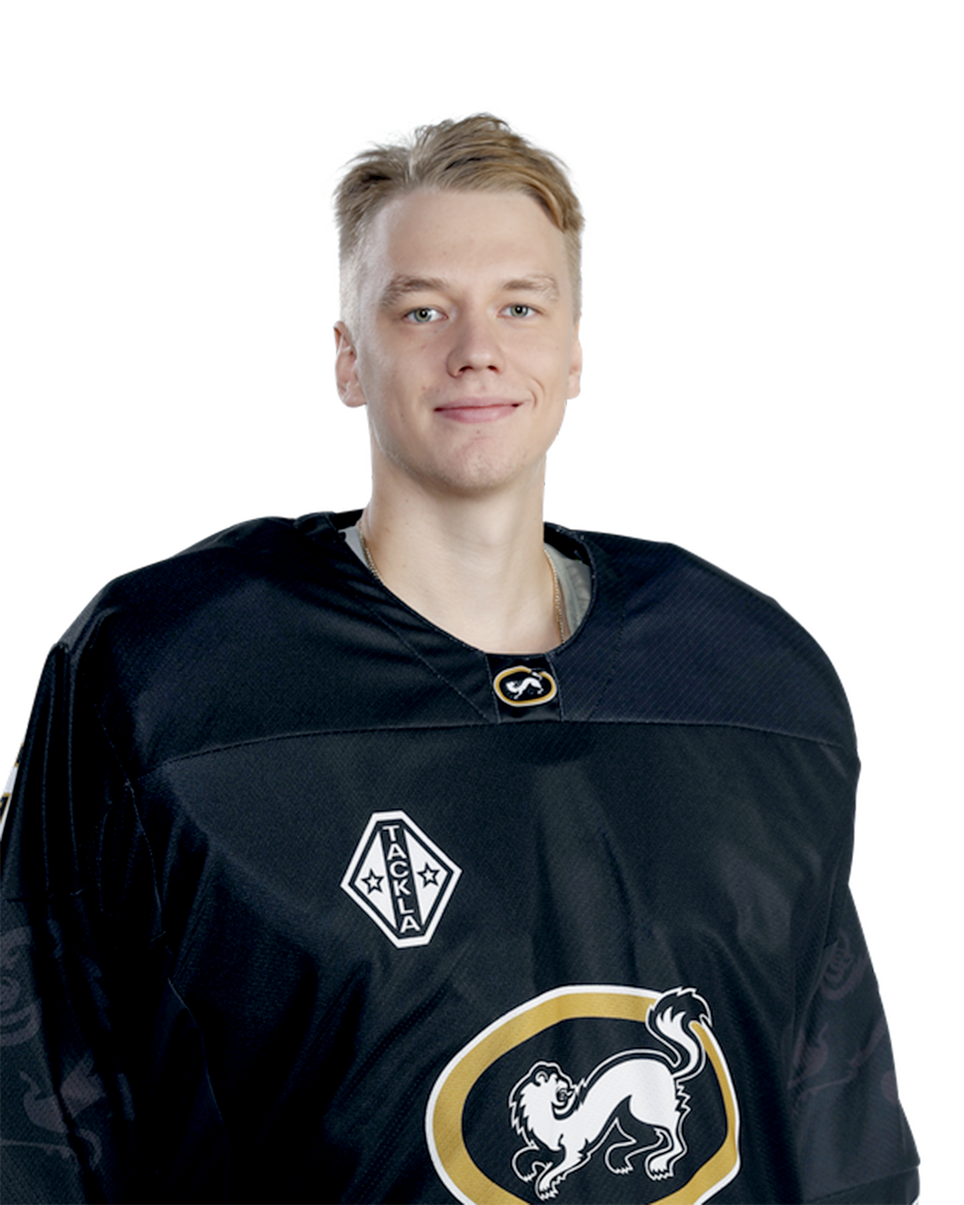 Veini 
Vehviläinen