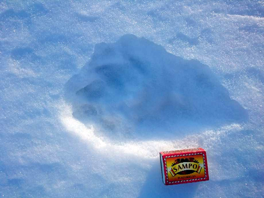 Ahmakannan kokoa ei koeta ongelmaksi. Jouni Roppola huomasi ahman jäljet 

maaliskuun lopulla Karjonevalla.