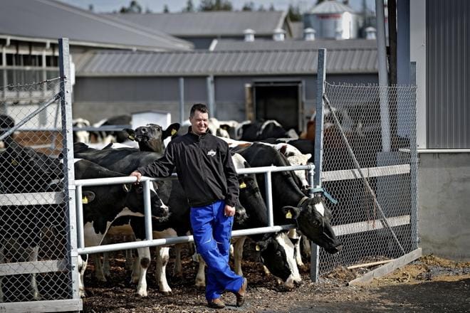 Finnmilk Oy kuuluu Juustoportin vapaan lehmän maidon tuottajiin. Muun muassa sen takia sillä on lehmiä varten navetan vierellä tuhannen neliön jaloittelualue, jonne ne pääsevät halutessaan jaloittelemaan. Maidontuottaja Ari Tepolla oli ennen Finnmilkiä oma lypsykarjatalous, jossa oli enimmillään kolme erillistä lypsyrobottia. Yhtiökumppani Juhani Korkiamäki tuli alun perin tutuksi, kun hän kävi Tepolla huoltamassa lypsyrobottia. KUVA: TOMI KOSONEN