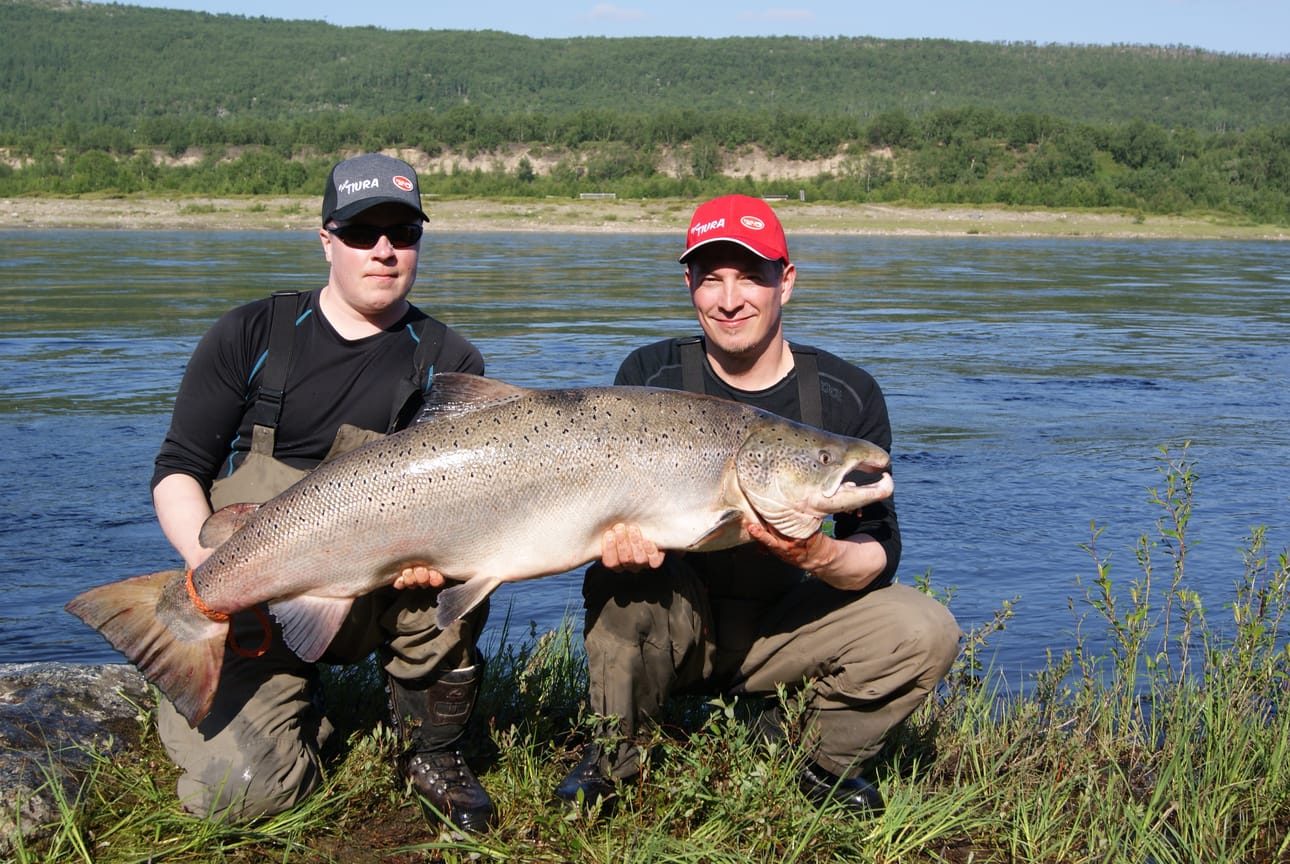 Matti Luukinen (vas.), Marko Backman saivat 23-kiloisen koiraslohen Tenojoelta heinäkuun lopulla.