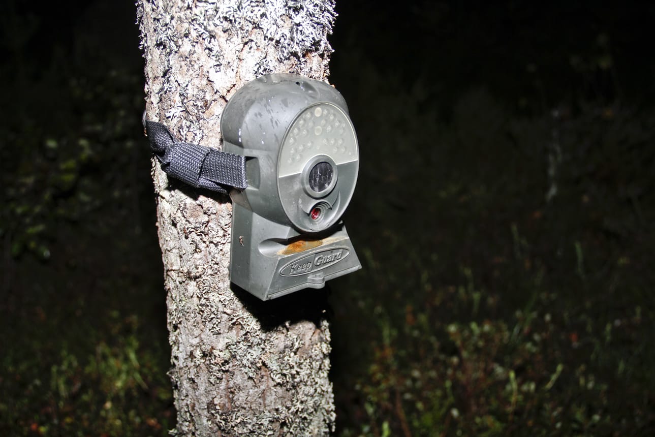 Hyviksi mökki- ja talovahdeiksi ovat osoittautuneet riistakamerat, jotka voidaan sijoittaa huomaamattomasti.